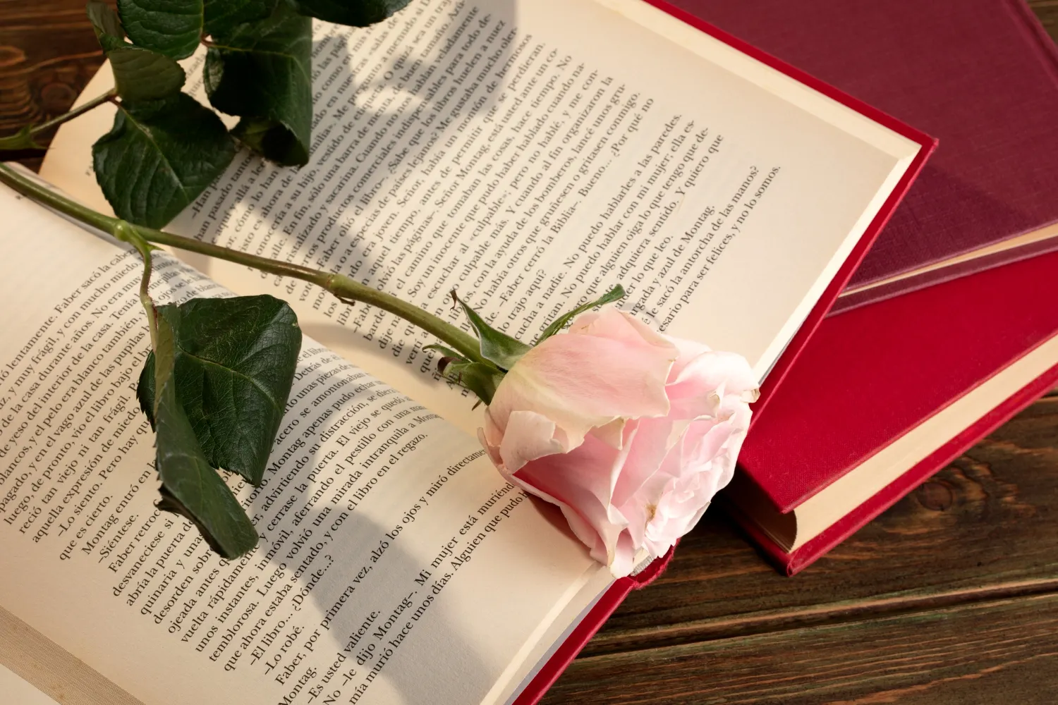 Building Your Novel's Structure